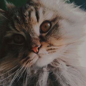 Meet your Posher, Rori